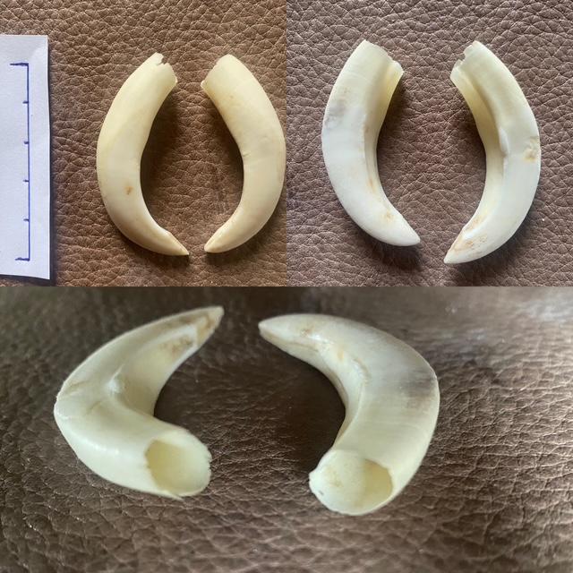 Densan25 3