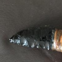 Img 0446