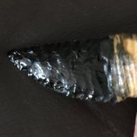 Img 0447