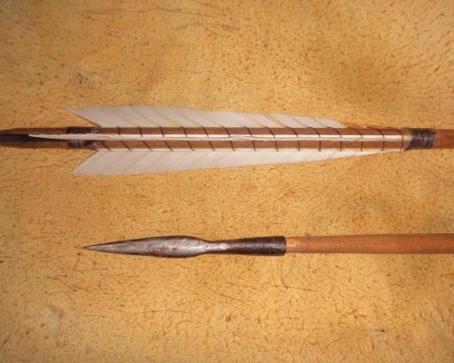 Pointe plate detailv